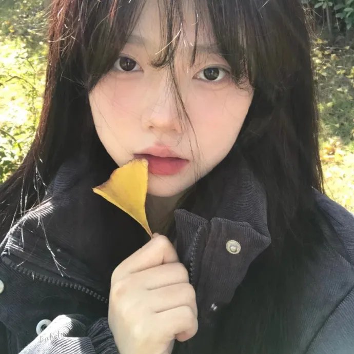 寂静的山林封面