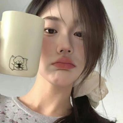 美丽城员警封面