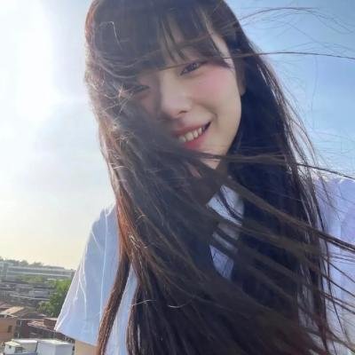 大道似锦封面
